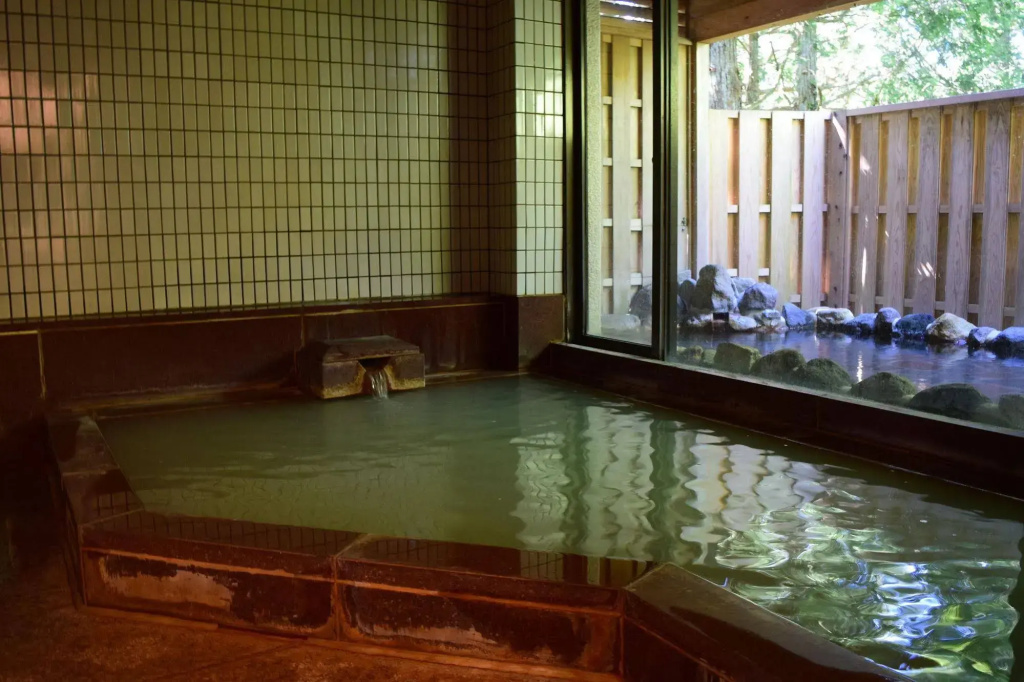 TOP Resort Hakone Onsen Goku no Yado - Général
