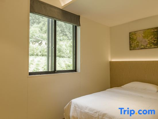 Standard Double room with mountain view (twin beds)