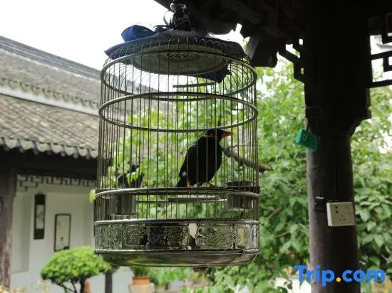 The Fallen Flower Old House - Luxurious Garden Suites in Jiangnan Courtyard Style