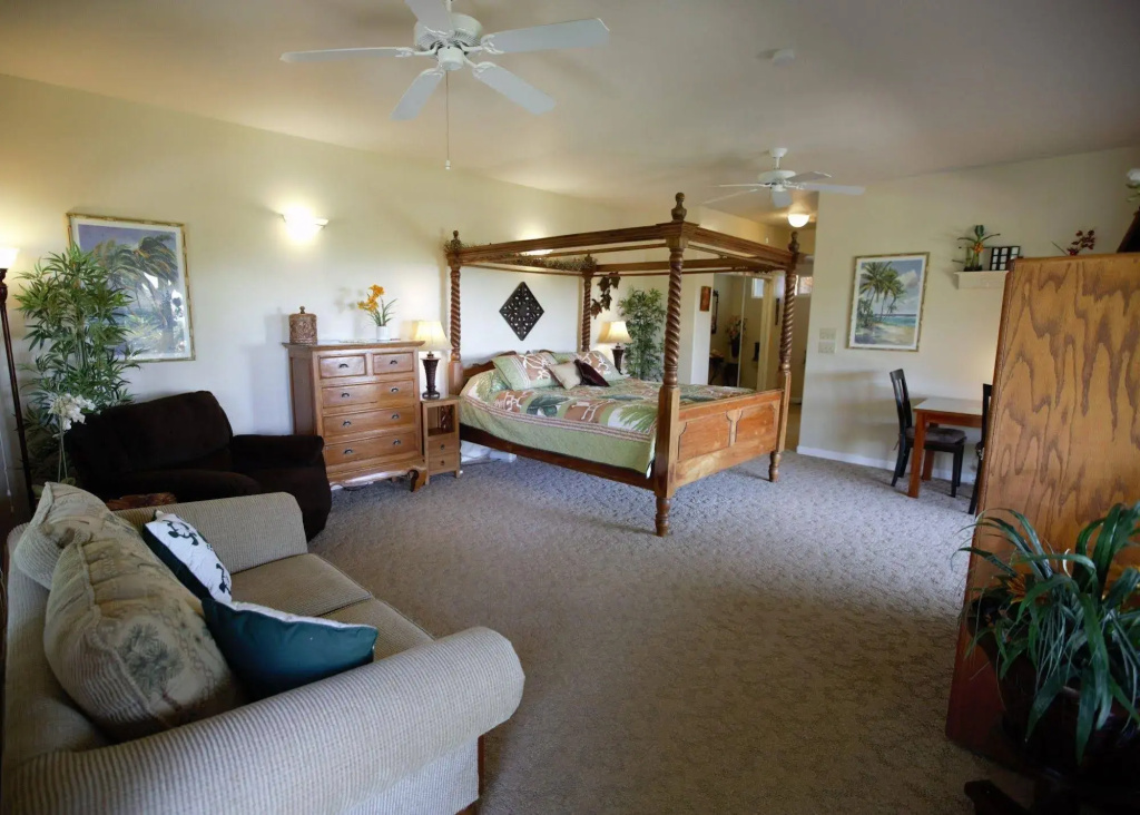 Island Goode's - Luxury Adults Only Accommodation - Général