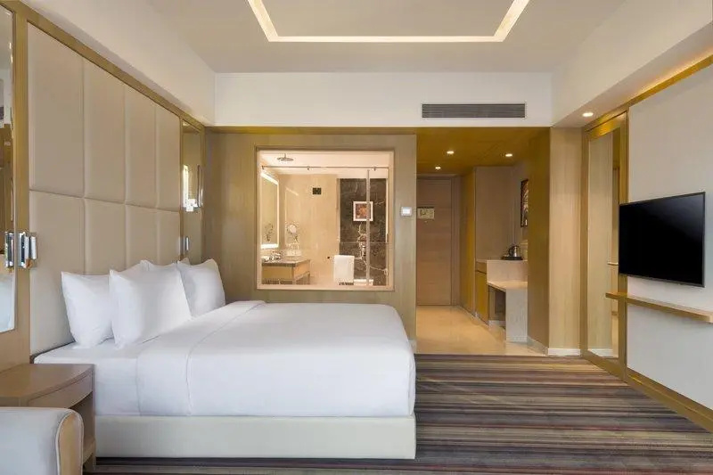 1 Bedroom Suite