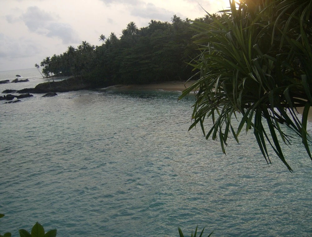 Beach & Waterfront