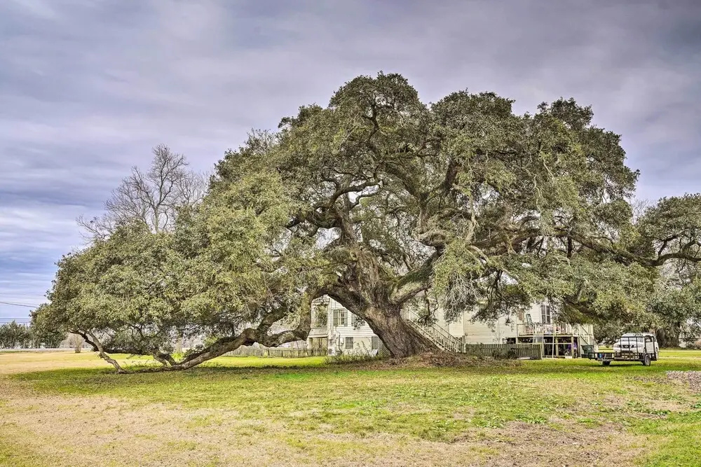 Vintage Louisiana Vacation Rental Home
