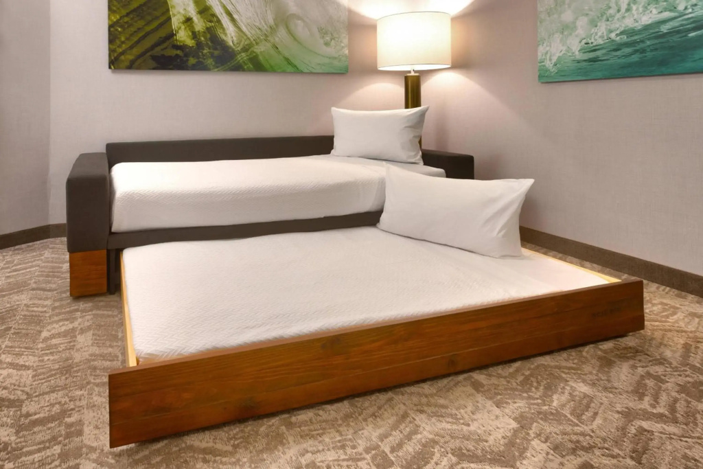 SpringHill Suites Idaho Falls - фото 9