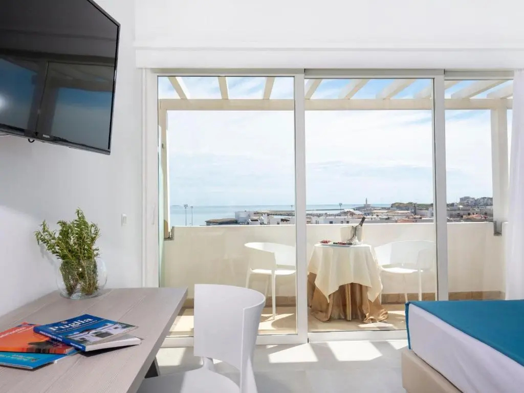 Deluxe Double room with panoramic view (full double bed)