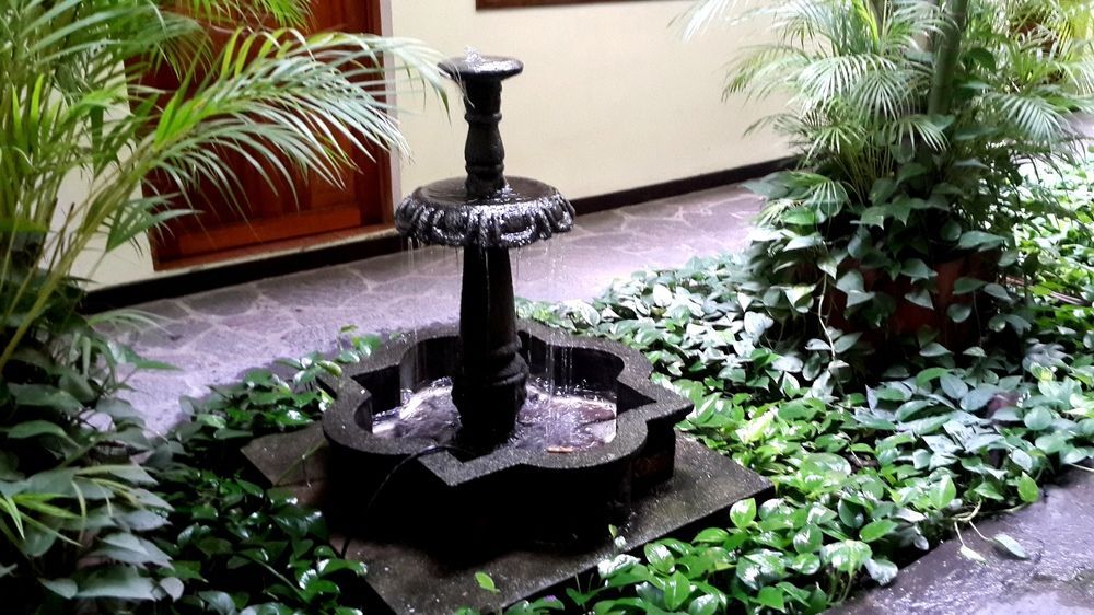 Arbol de Fuego Eco-Hotel by null