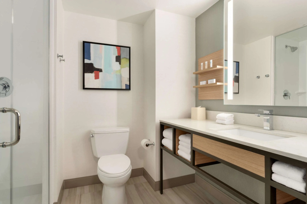 Hilton Garden Inn Tysons Corner - Général
