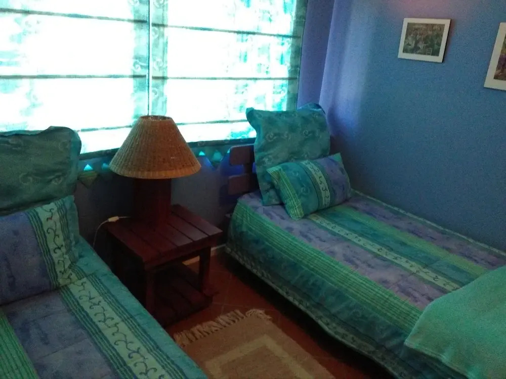 Come An Enjoy Cape Towns Best Kept Secret Kleinmond, 2 Hours From The City