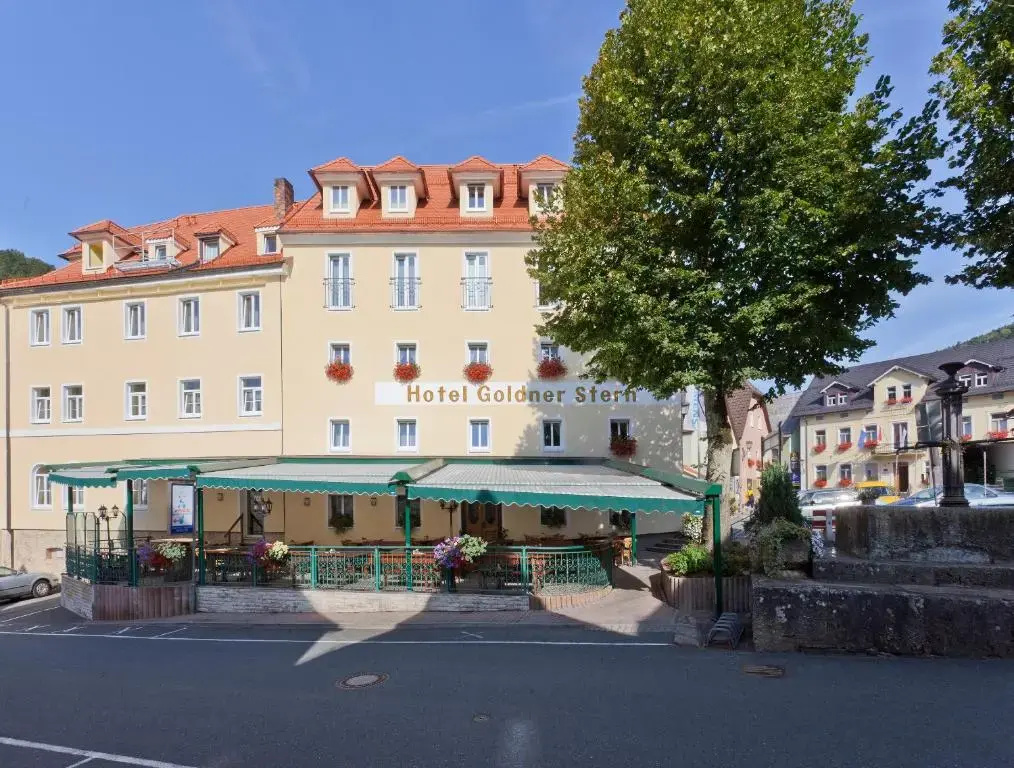 AKZENT Hotel Goldner Stern - Général