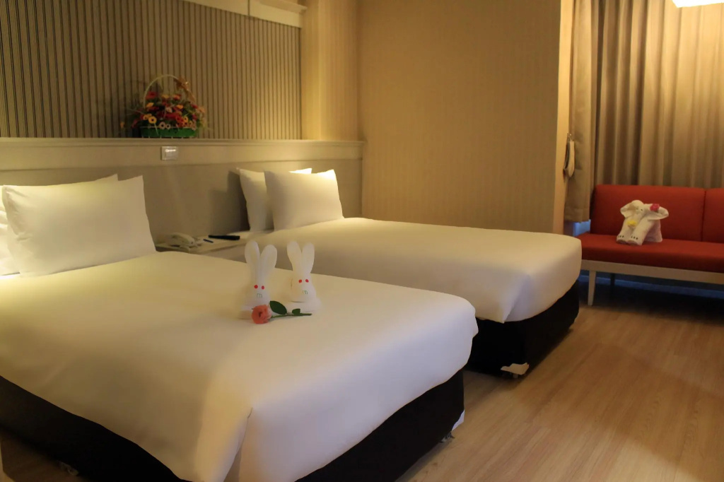 Superior Double room (twin beds)