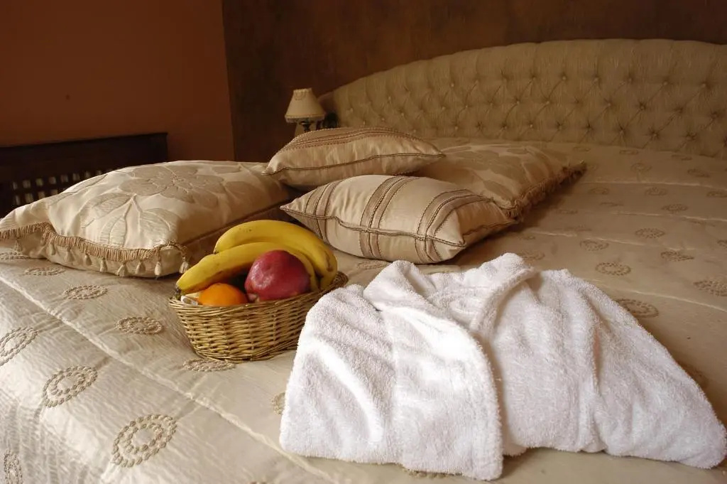 Meg Lozenetz Hotel - Chambres