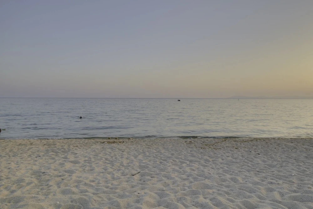 Beach & Waterfront
