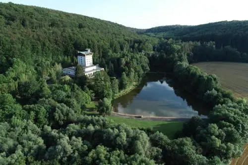 Hotel Reifenstein - Général