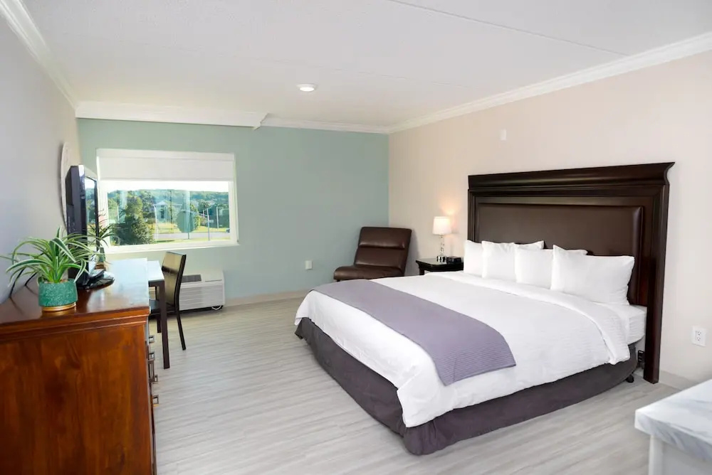 Bella Vista Hotel & Suites - Chambres