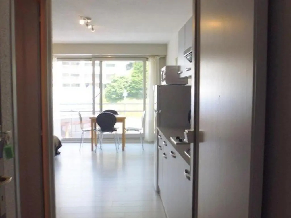 Voir la photo 3 — Appartement Gourette, 1 pièce, 3 personnes - FR-1-400-12