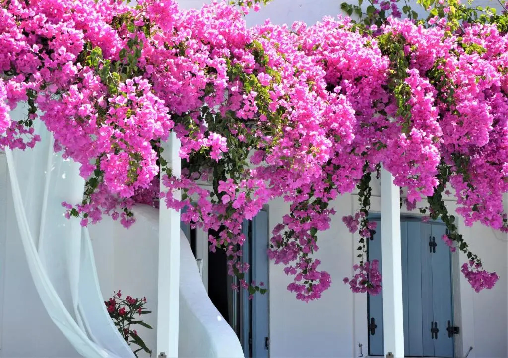 Studios Kilindra - Chambres