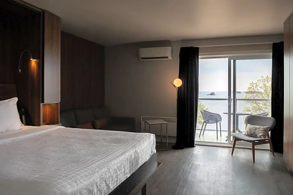 Deluxe Double room (full double bed)