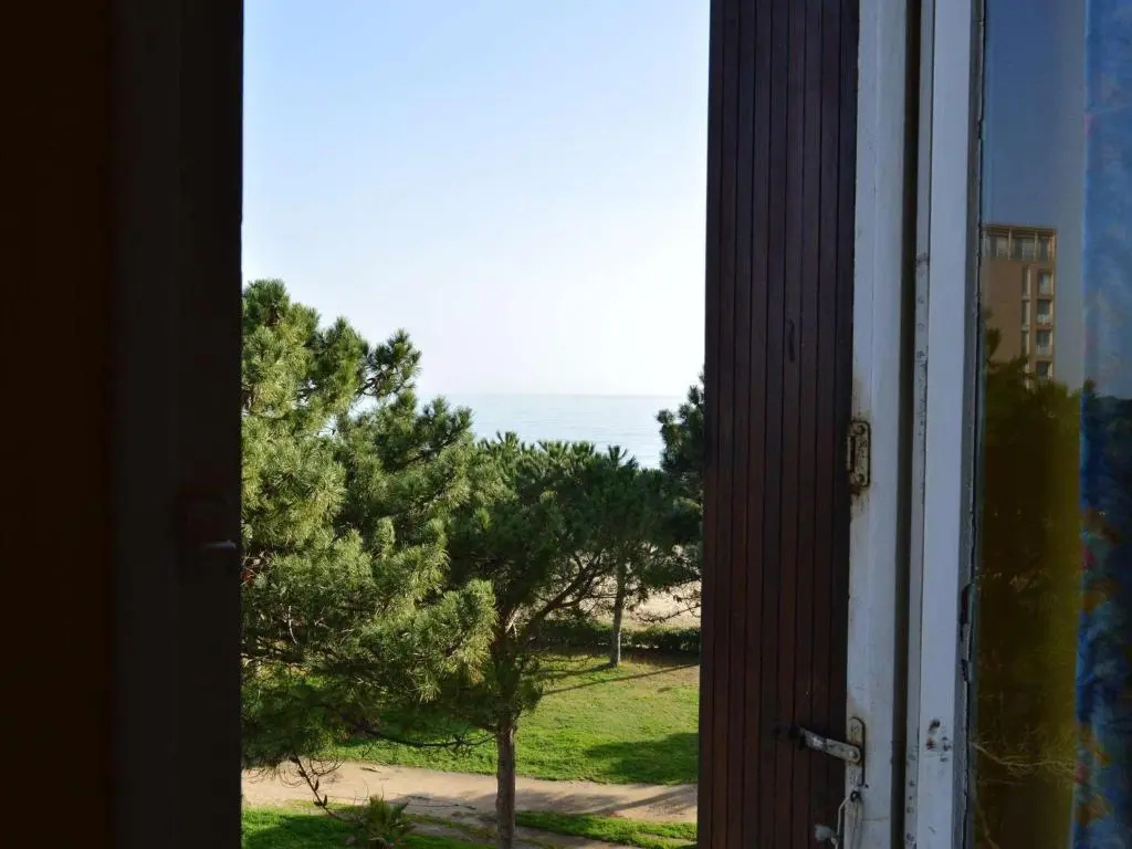 Appartement Argelès-sur-Mer, 2 pièces, 3 personnes - FR-1-225-26