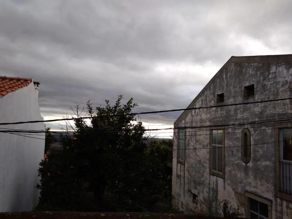 Grandma's House