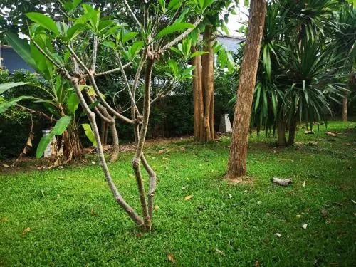 Kao Tao Villa Beach Resort - Général