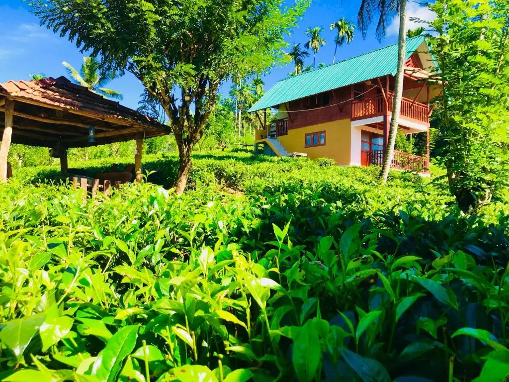 Rainforest Lodge - Chambres