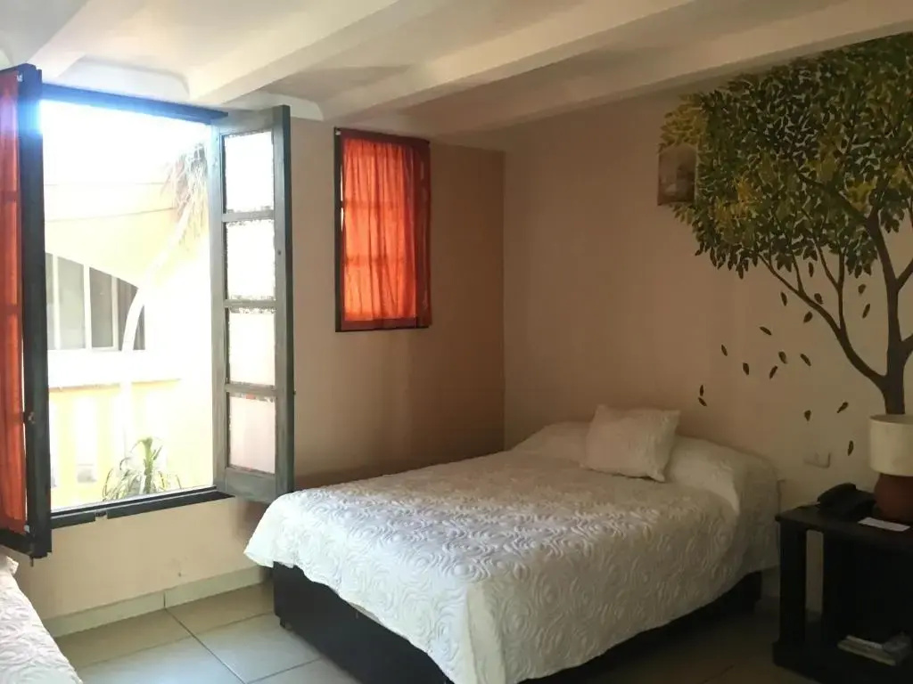 Standard Double room (full double bed)
