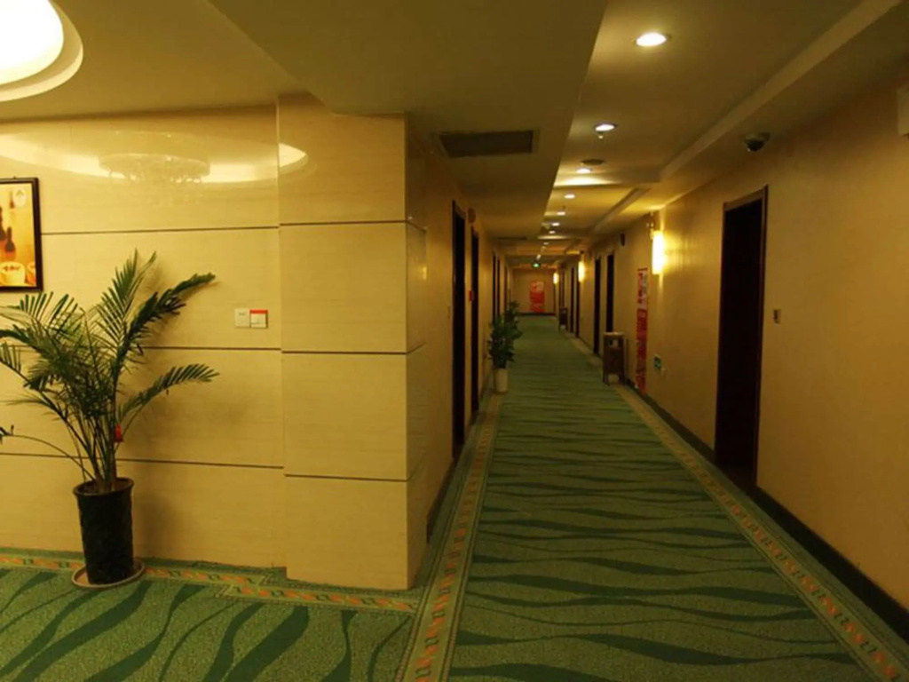 GreenTree Inn Anhui Bozhou Yaodu Road Business Hotel - Général