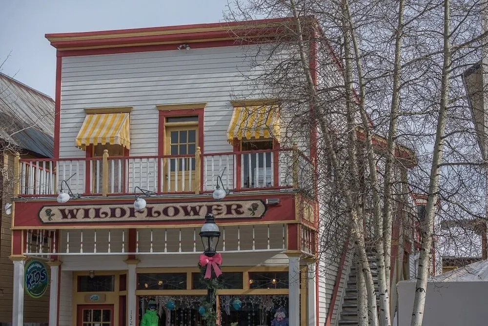 #1596 Awesome Ski-in Studio - Fantastic Mountain Views in Breckenridge