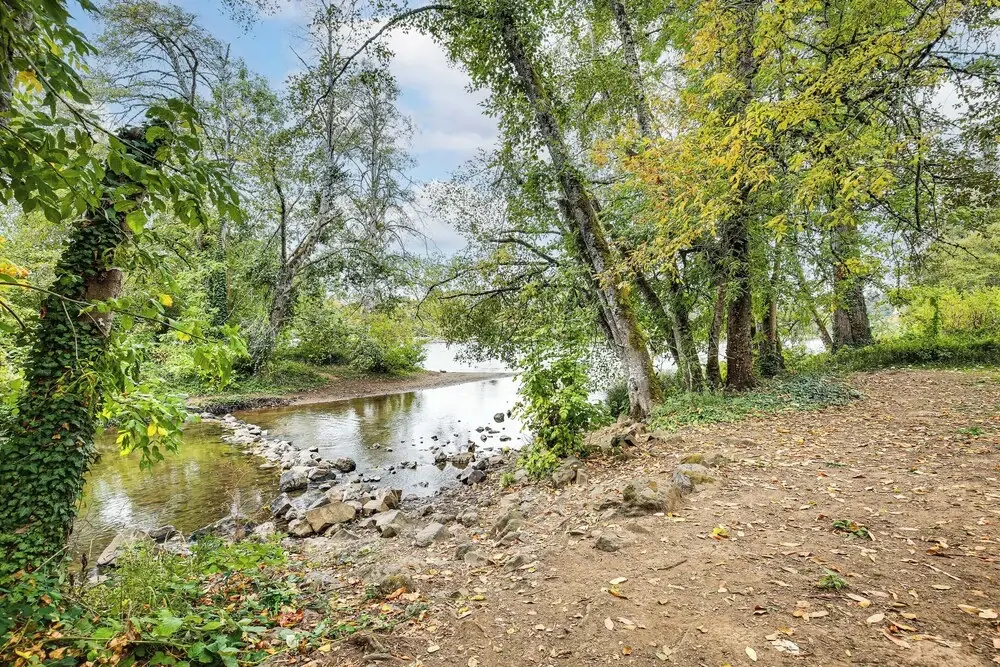 3 Mi to UO Campus: Pet friendly Springfield Home