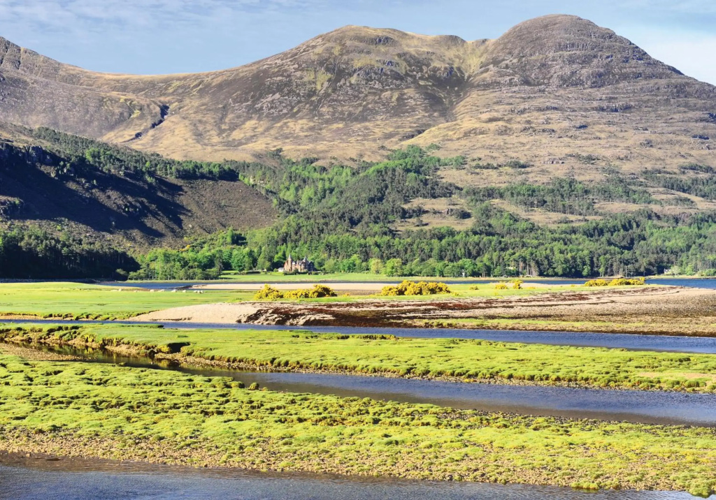 The Torridon - Général