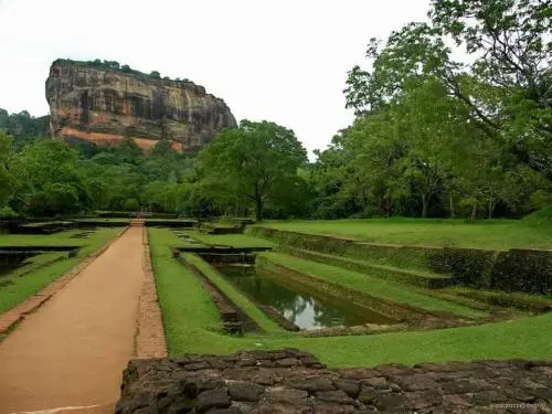 Wild Flower Resort