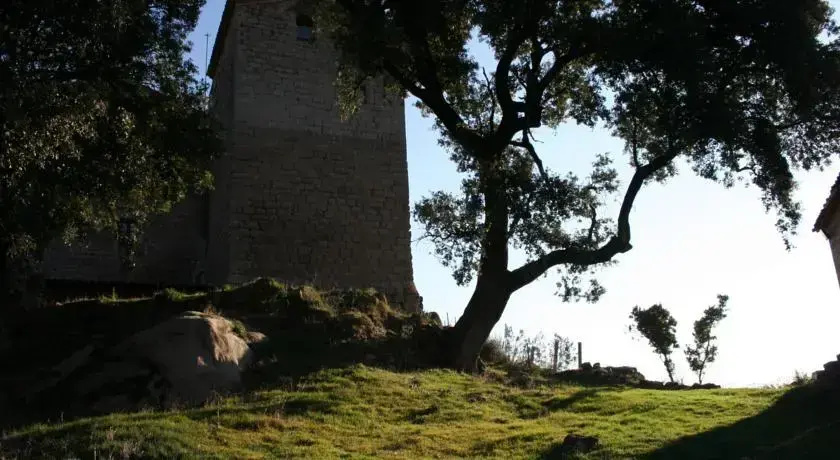 Castell de l'Espunyola