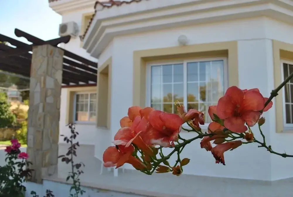 Villa Rose by Amy Villas