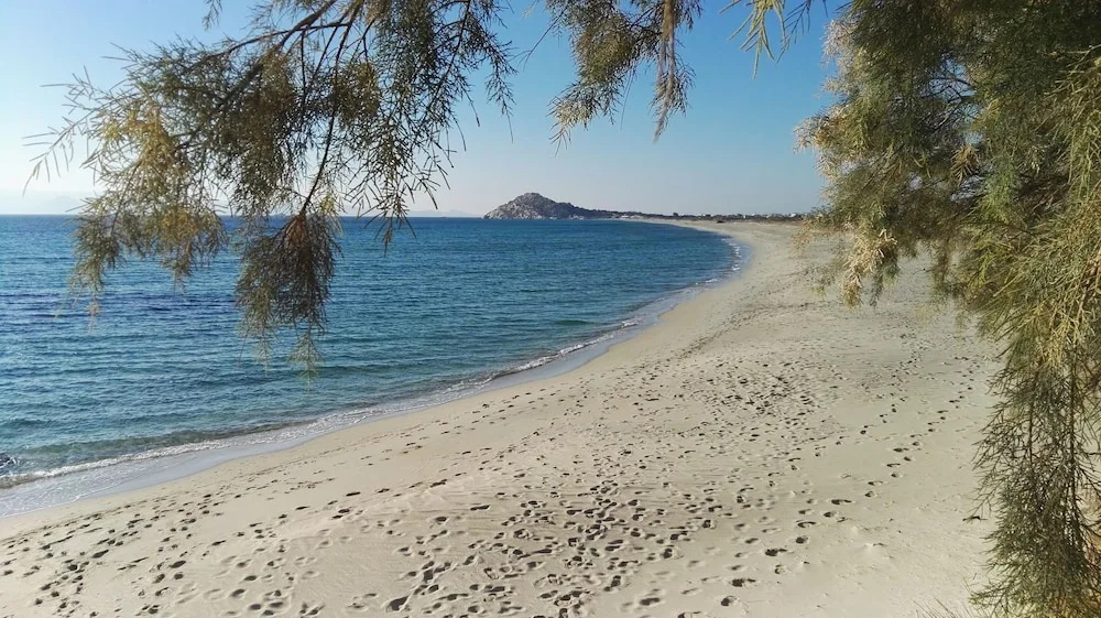Beach & Waterfront