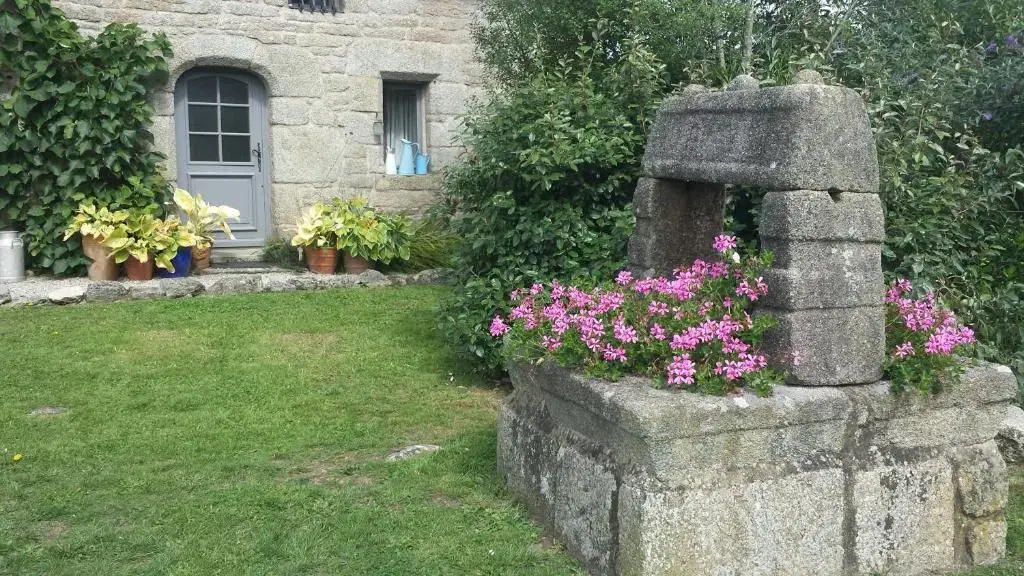 Afficher la photo 7 — Les Papillons