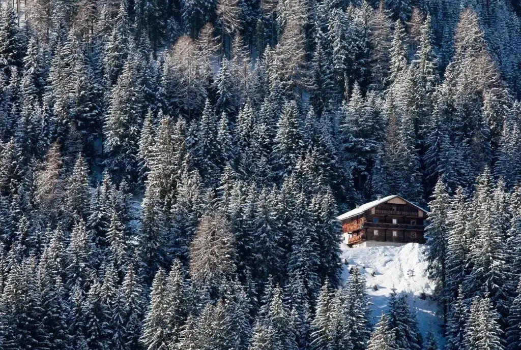 Senfter Ferienpension - Général