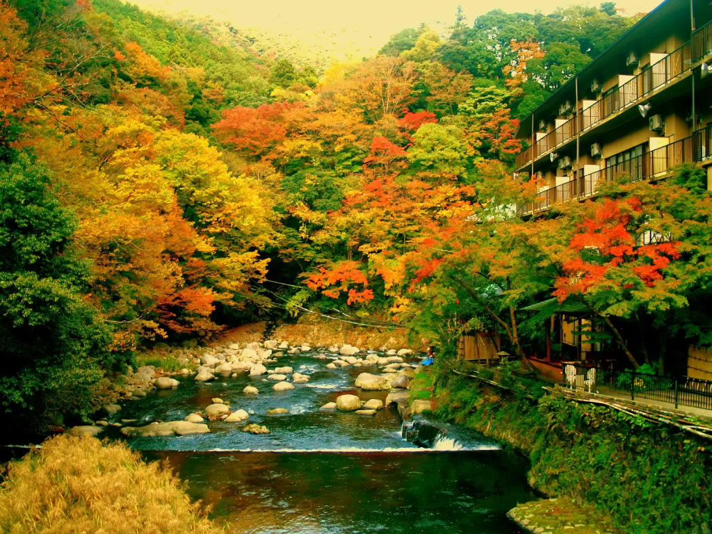Hotel photo 32