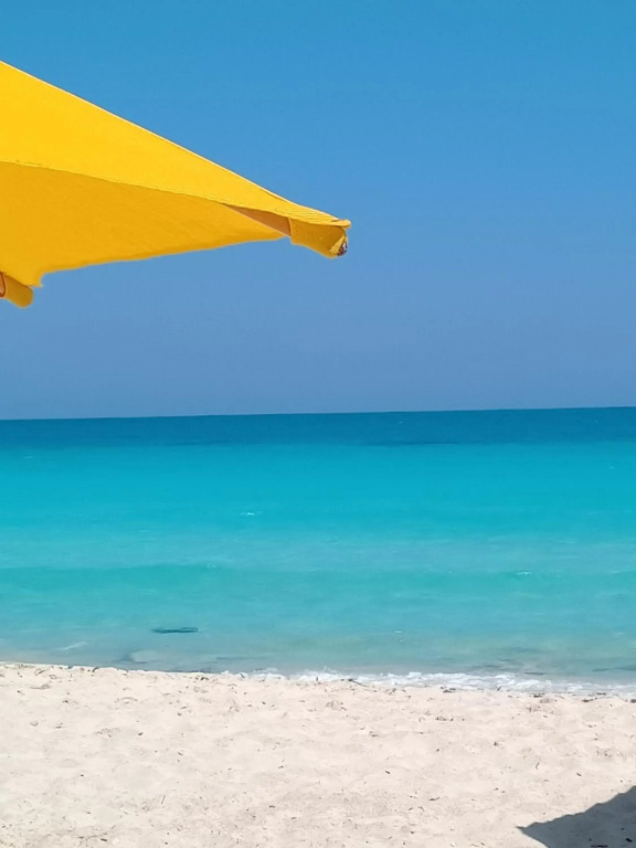 Grand holidays Green Resort - фото 18