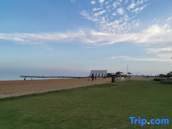 Beach & Waterfront