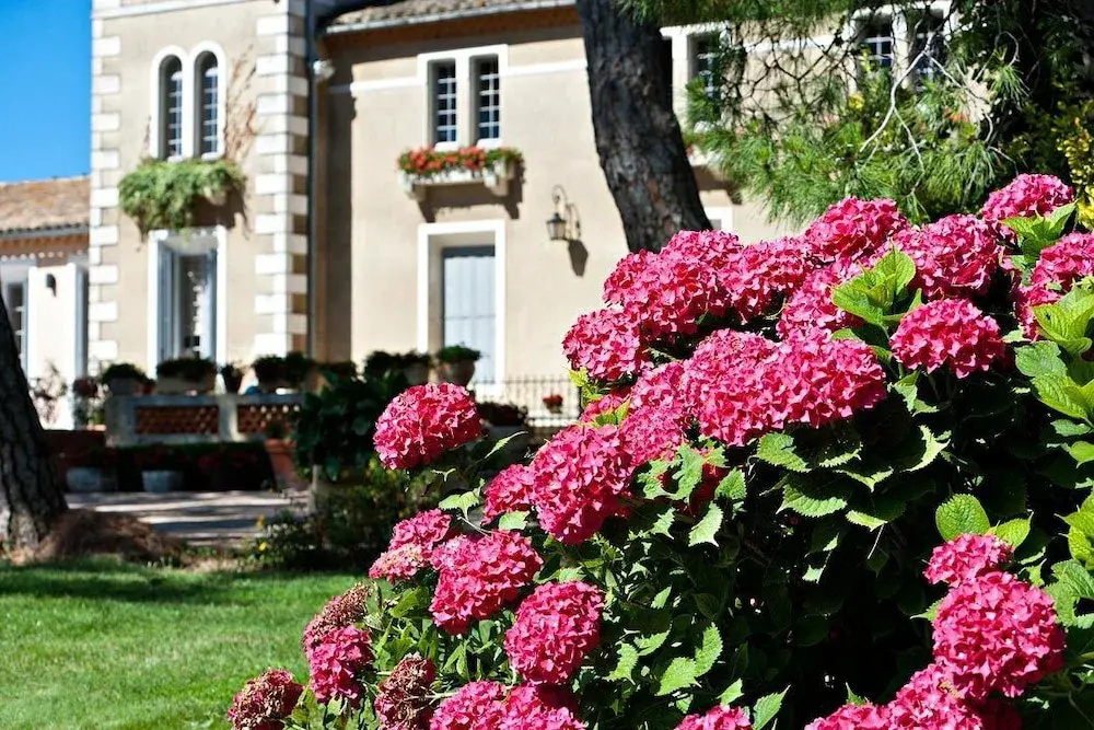 Mas de l'Espérance - Chambres d'hôtes