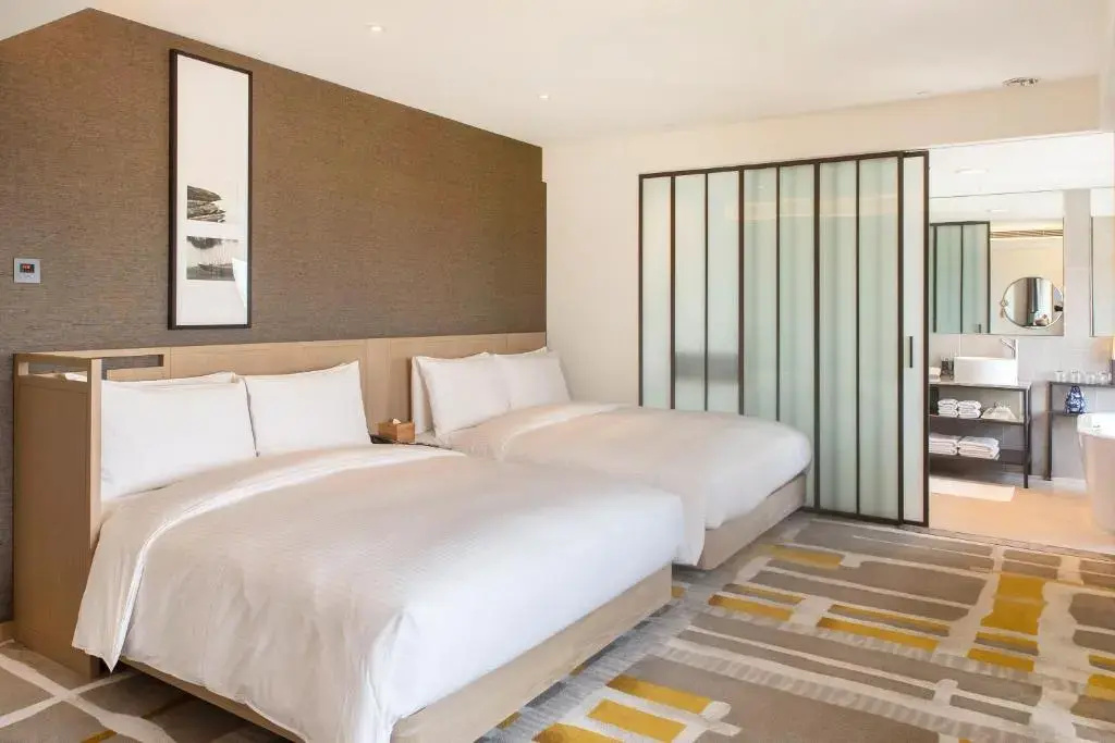 Superior Double room (twin beds)