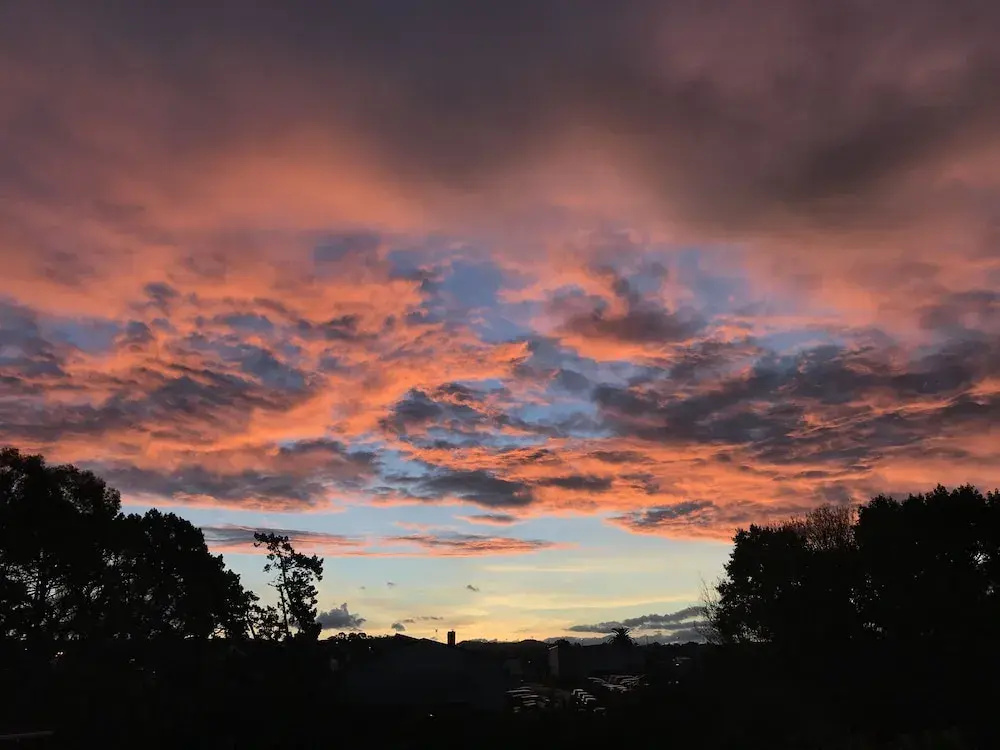 Auckland Onestop
