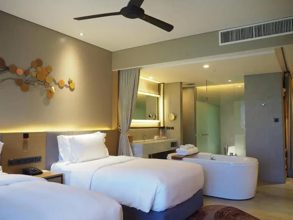 Deluxe Plus Double room (twin beds)