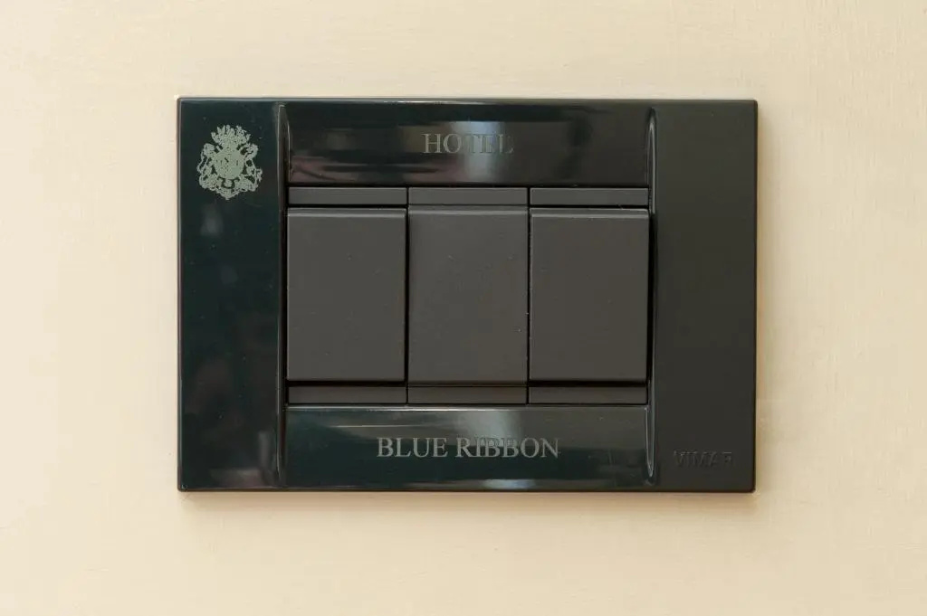Hotel Blue Ribbon - Chambres