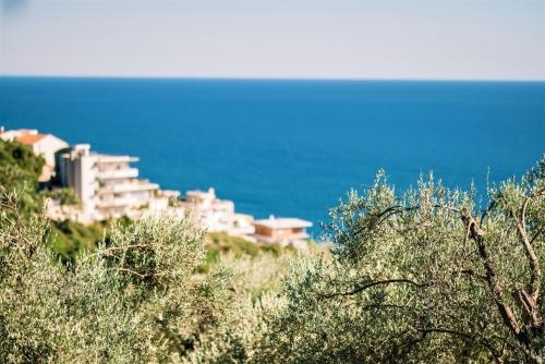 Beach & Waterfront