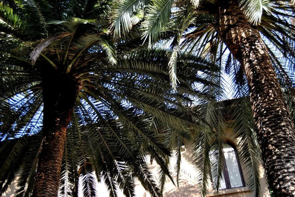 B&B Villa Fiocchi - фото 2