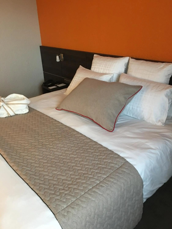 Alexander Park Chambéry Hotel - Général