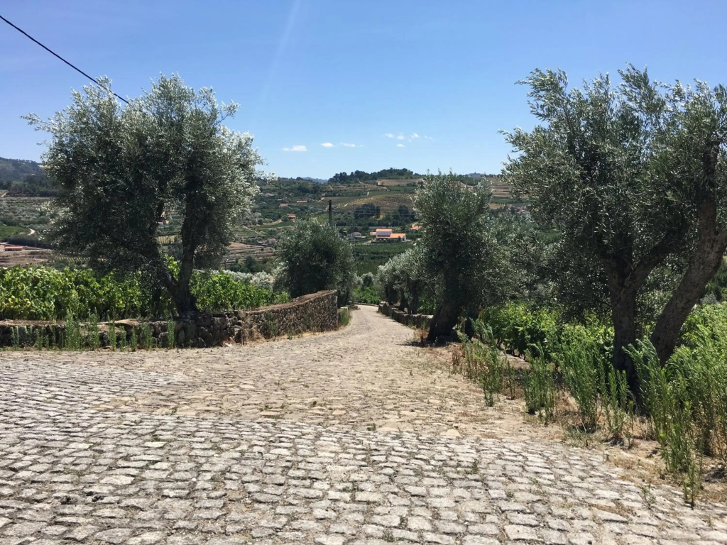 Quinta Do Acipreste (Antiga Quinta Da Torre)