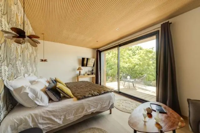 Standard Double room with mountain view (full double bed)