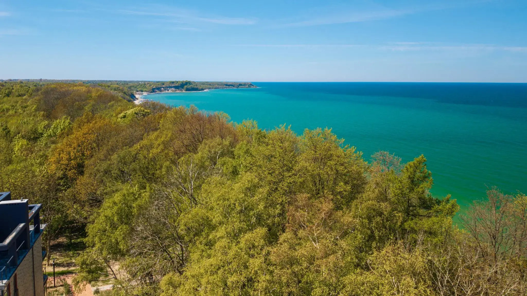 Elybay (Элибэй) - фото 19